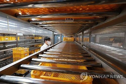 독감 확산에 줄어든 혈액 보유량