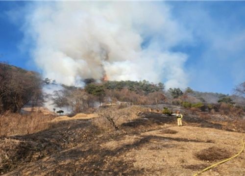 장성 야산 산불 현장