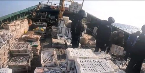 단속 벌이는 해경