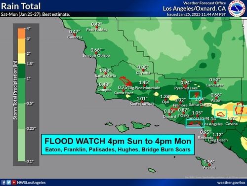 LA 일대에 발령된 홍수주의보