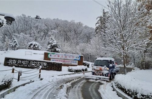 제설작업 중인 경기도 양주시 국립아세안수목원