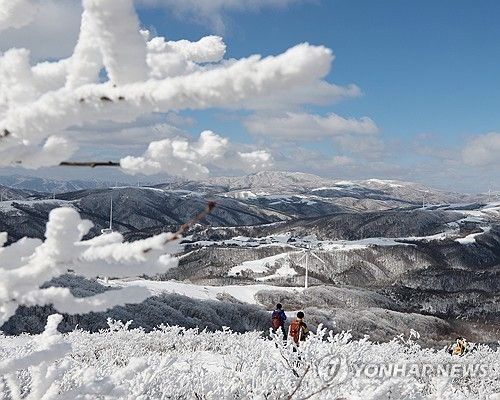 '2025~2026 한국관광 100선'에 선정된 대관령