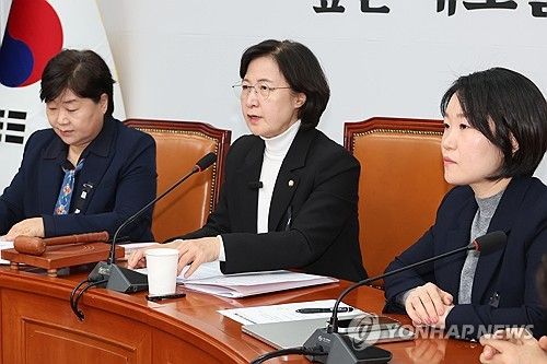 민주당 내란진상조사단 회의