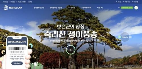 '정이품 보은군민' 인터넷 홈페이지