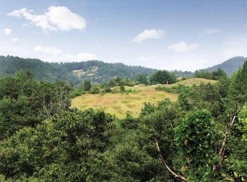 사적 '공주 수촌리 고분군'