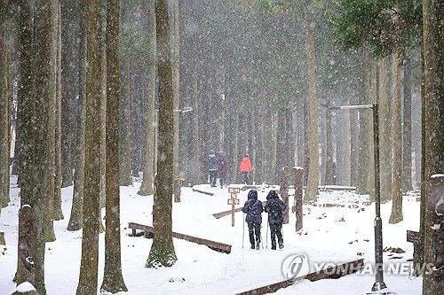 눈 내리는 숲길 걷기