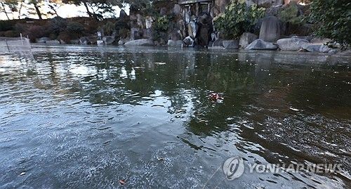 경남대 월영캠퍼스 연못의 겨울