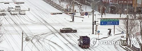 폭설에 거북이 운행