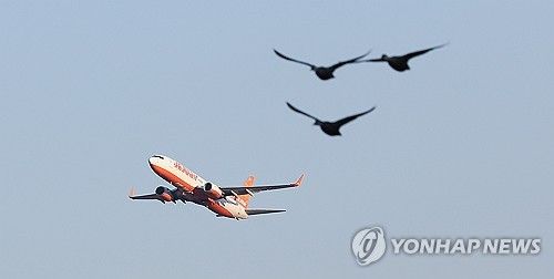 지난 3일 오후 대구국제공항에서 이륙하는 여객기와 함께 새가 날아오르고 있다. [연합뉴스 자료사진]