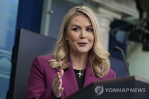 레빗 백악관 대변인