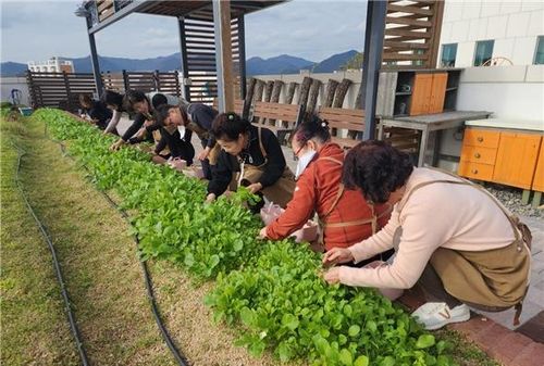 농업치유 프로그램