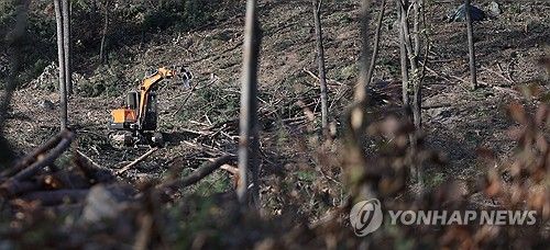 소나무재선충병 소나무 제거