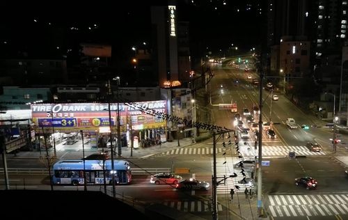 횡단보도 위 떼까마귀