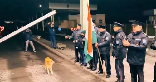 루마니아-헝가리 국경 검문소에서 열린 솅겐 조약 정식 가입 기념식. 검문소 차단바가 올라가자 유기견이 국경을 넘고 있다. [소셜미디어 엑스(X·옛 트위터) 캡처. 재판매 및 DB 금지] 