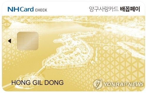 카드형 양구사랑상품권 '배꼽페이'