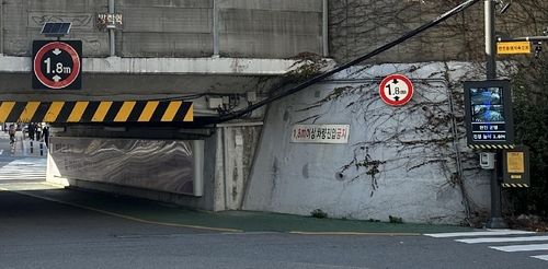 '인공지능(AI) 굴다리 안전통행 시스템'이 설치된 방학동 굴다리