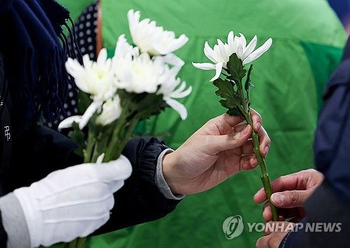 슬픔을 나누는 국화