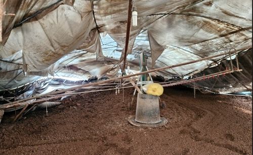 붕괴한 진안 백운면 오리 축사