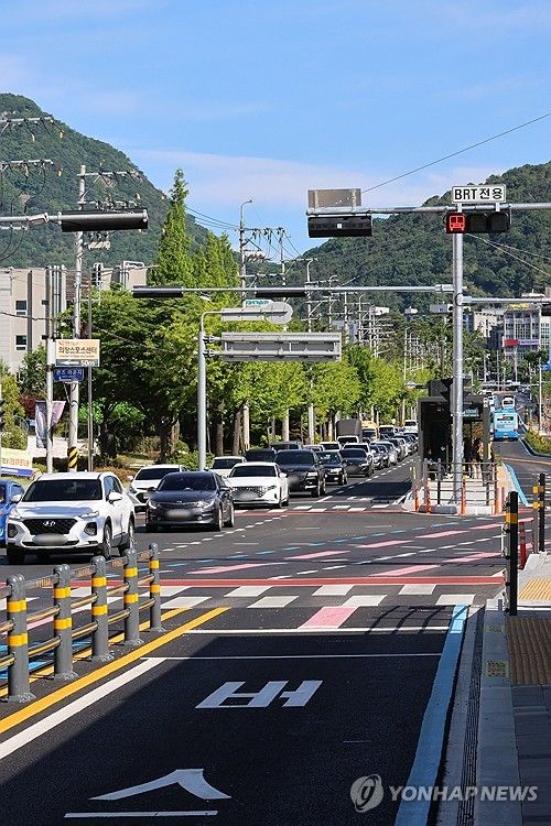 버스전용차로 노면에 칠해진 분홍색 유도선