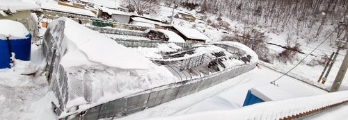 진안 성수면 비닐하우스 붕괴