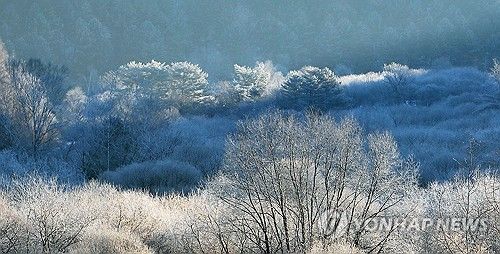 추위가 그린 풍경화