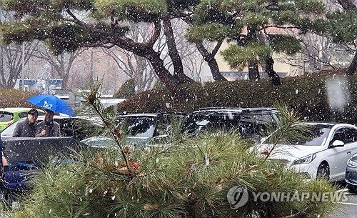 눈발 날리는 대전