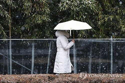 겨울에 나타난 우산