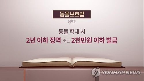 동물보호법 (CG)
