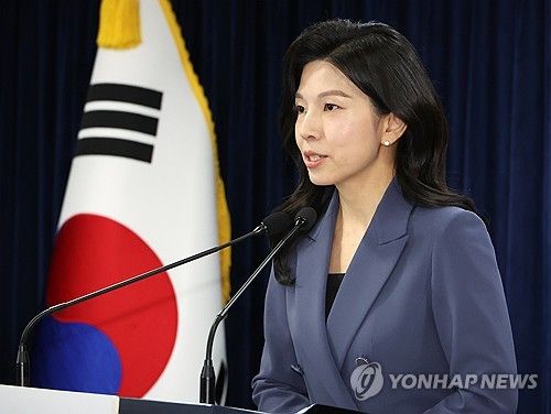 브리핑하는 김인애 부대변인