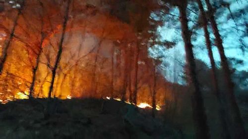 삼척 원덕에서 발생한 산불