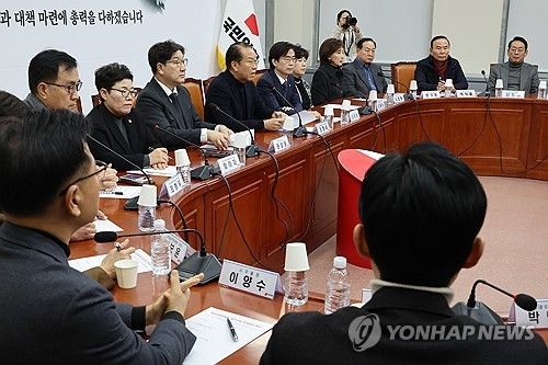 국민의힘 비대위, 중진 의원들과 연석회의