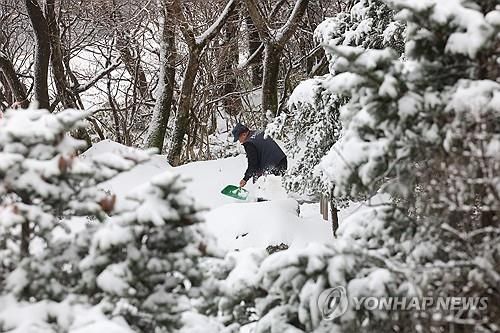 '눈 많이도 내렸네'. [연합뉴스 자료 사진]