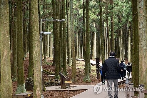 겨울 숲길 산책