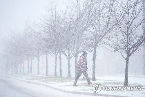미국의 폭설