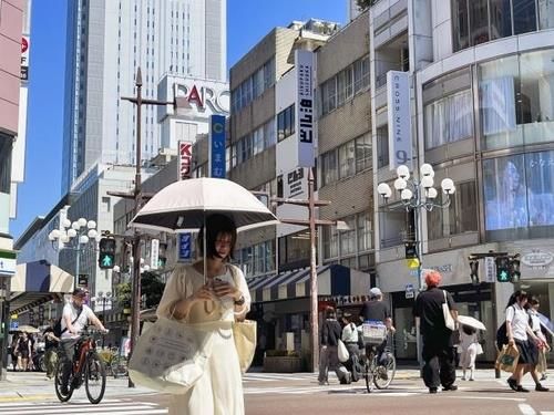 작년 7월 4일 최고기온이 39.3도를 기록한 일본 시즈오카시