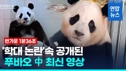 [영상] 세심한 배려라는데 사실이었으면…中, 푸바오 근황 영상 공개 - 2