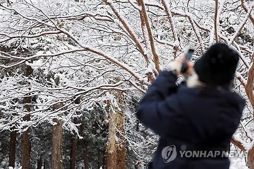 '카메라에 담긴 겨울'
