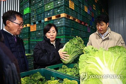 배추 출하 상황을 살펴보는 송미령 장관
