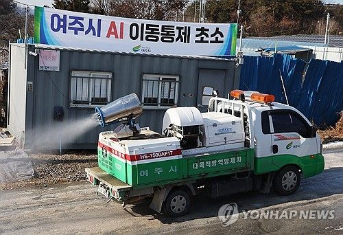 조류인플루엔자 방역 총력