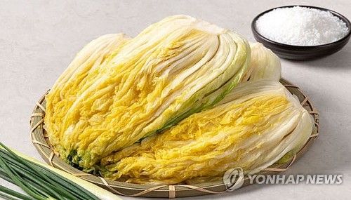 절임배추
