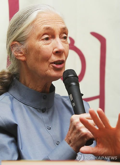 제인 구달 박사