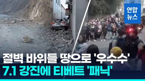 [영상] 규모 7.1 강진에 중국 티베트 '패닉'…네팔·인도도 흔들렸다 - 2