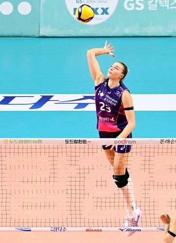 공격하는 마테이코