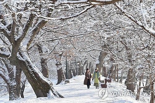 눈 덮인 담양군