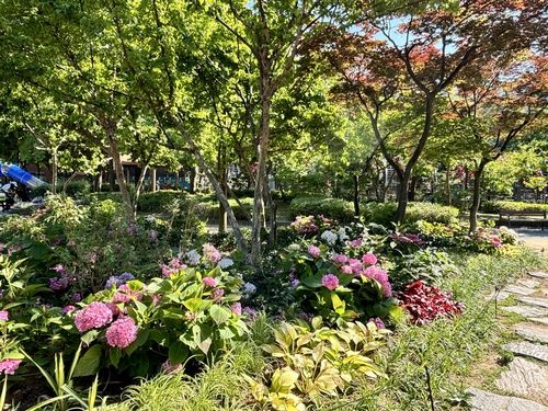 간데메공원 내 수국정원