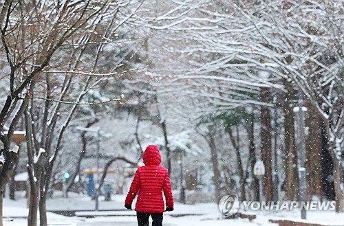 눈 내리는 도로