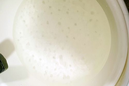 동경주지역 가정에 나온 물