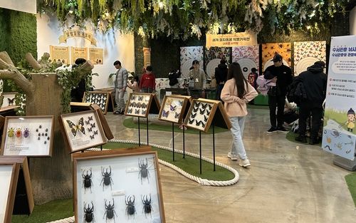 세계 절지동물 특별전