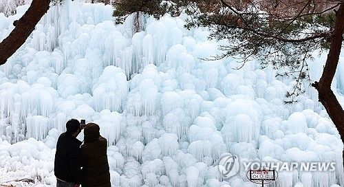 한파가 만들어낸 풍경