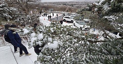 눈꽃 핀 한라산 1100고지 풍경